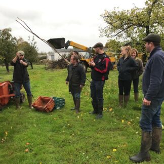 apple harvesting 2019