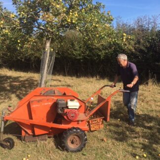 Apple harvest 2018