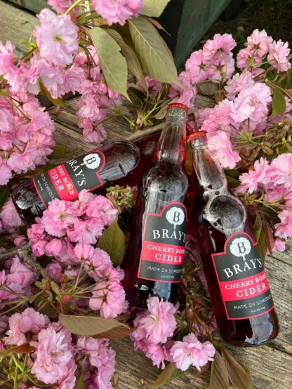 Bray's Cherry Bomb Cider -12 x 500ml Bottles - Image 3